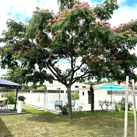 Des Anges Bed & Breakfast