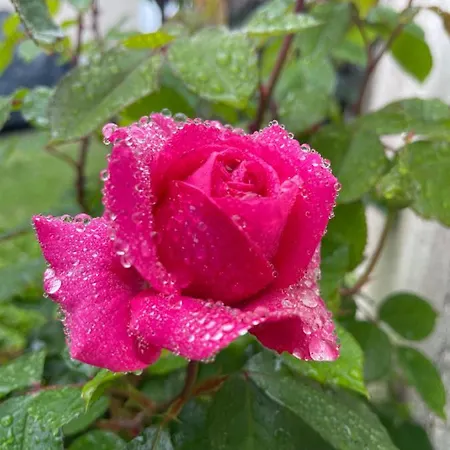 Des Anges 4* Soussans