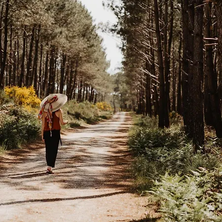 Des Anges 4* Soussans