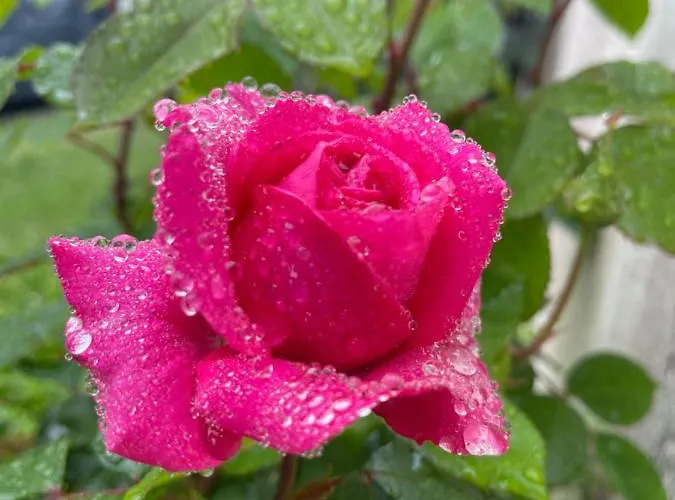 Des Anges 4* Soussans