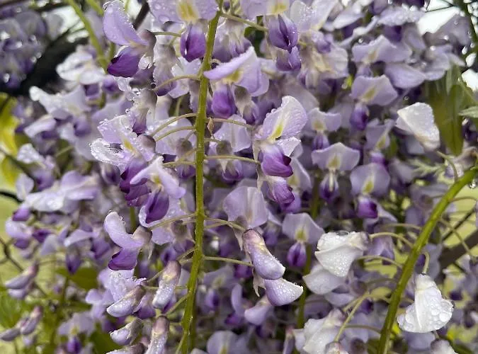 住宿加早餐酒店 Des Anges Soussans