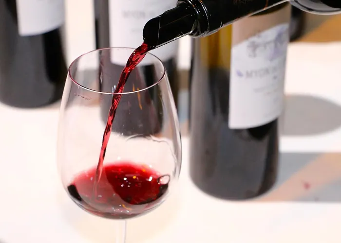 住宿加早餐酒店 Des Anges Soussans